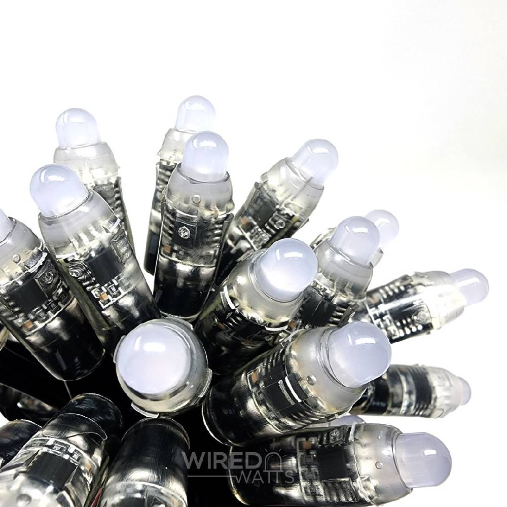 Smart 12v 25ct Bullet Node Pixels Black Wire xConnect
