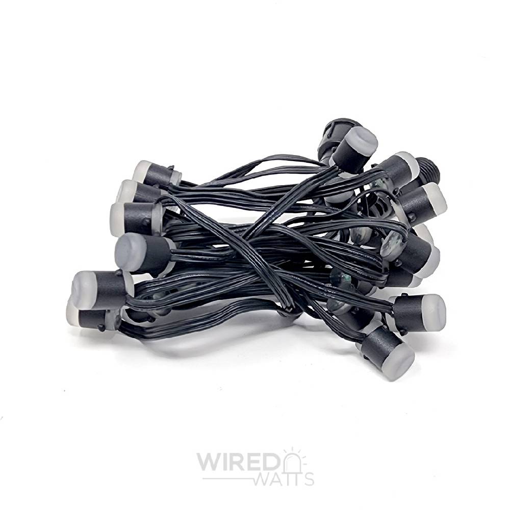 Smart 12v 25ct LumaDot Pixels Black Wire xConnect