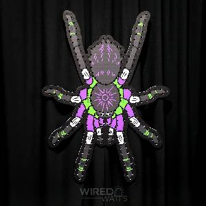 Giant Black Tarantula Spider - Image 1