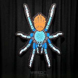 Giant Blue Tarantula Spider - Image 1