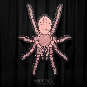 Giant Brown Tarantula Spider - Image 1