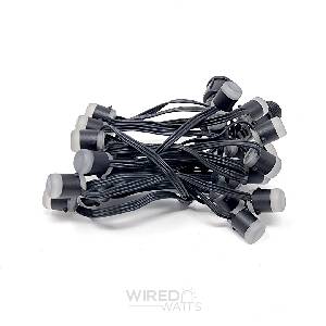 Smart 12v 25ct LumaDot Pixels Black Wire xConnect - Image 1