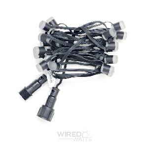 Smart 12v 50ct LumaDot Pixels Black Wire xConnect - Image 3